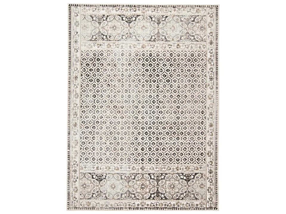 Kano Distressed Power-Loomed Area Rug in Gray and Ivory
