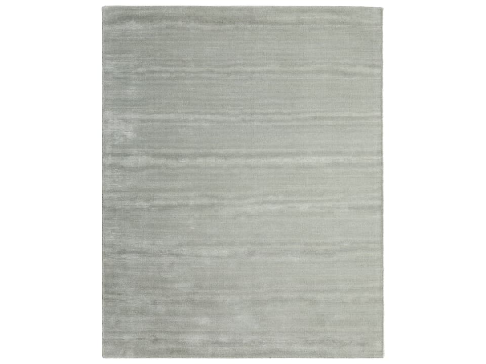 Abbott Hand Woven Nylon Area Rug in Mist