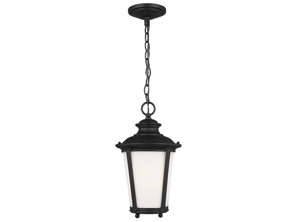 Cape May Traditional Outdoor Pendant Light in Black