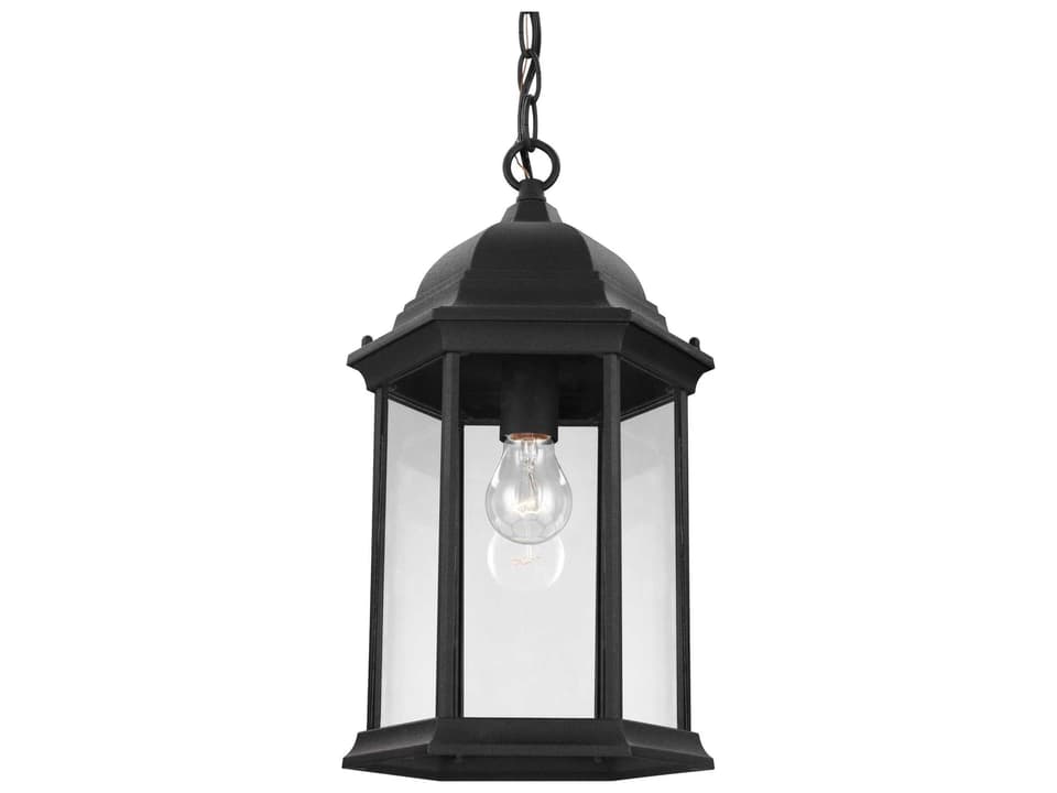 Sevier 1-Light Outdoor Pendant Light in Black with Clear Glass