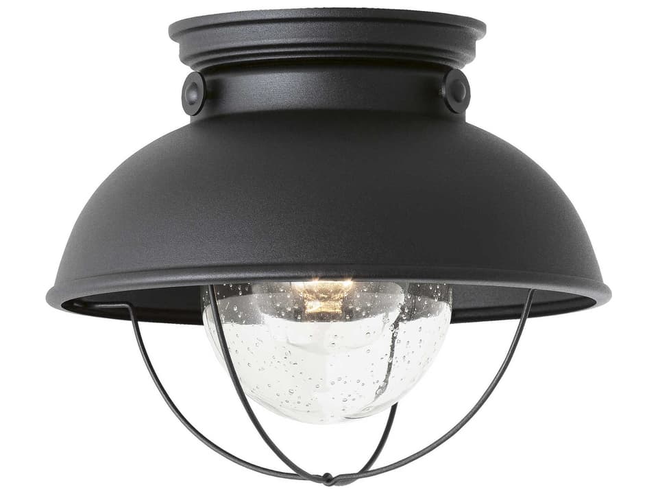Sebring 1-Light Outdoor Flush Mount in Black with Clear Seeded Glass