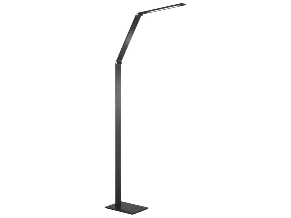 Portables 1-Light 8W LED Floor Lamp in Anodized Brushed Coal