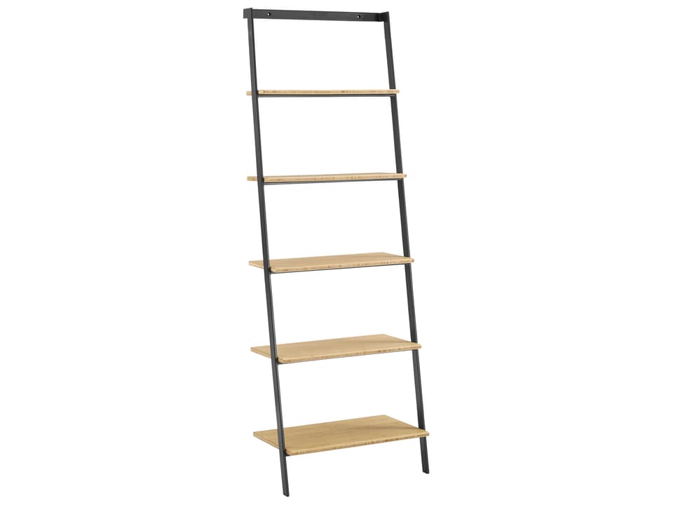 Santa Cruz Leaning Shelf Eco-Friendly Modern Bookcase