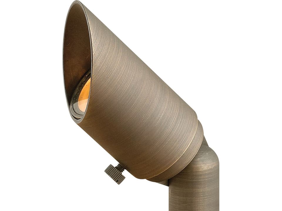 Hardy Island Outdoor Spot Light in Matte Bronze