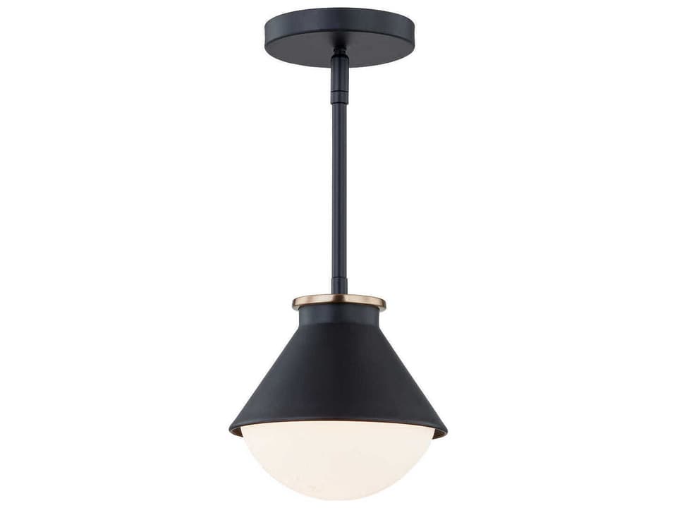 Ravelle Small Outdoor Pendant Light in Matte Black and Brass