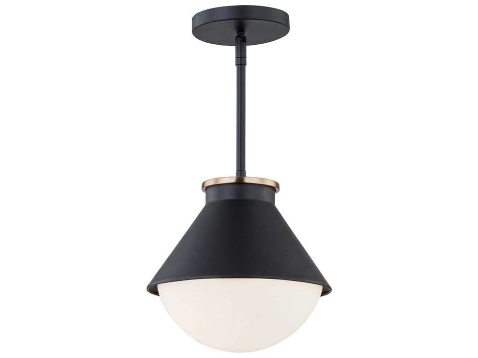 Fusion Ravelle 1-Light Outdoor Pendant Light in Matte Black and Brass