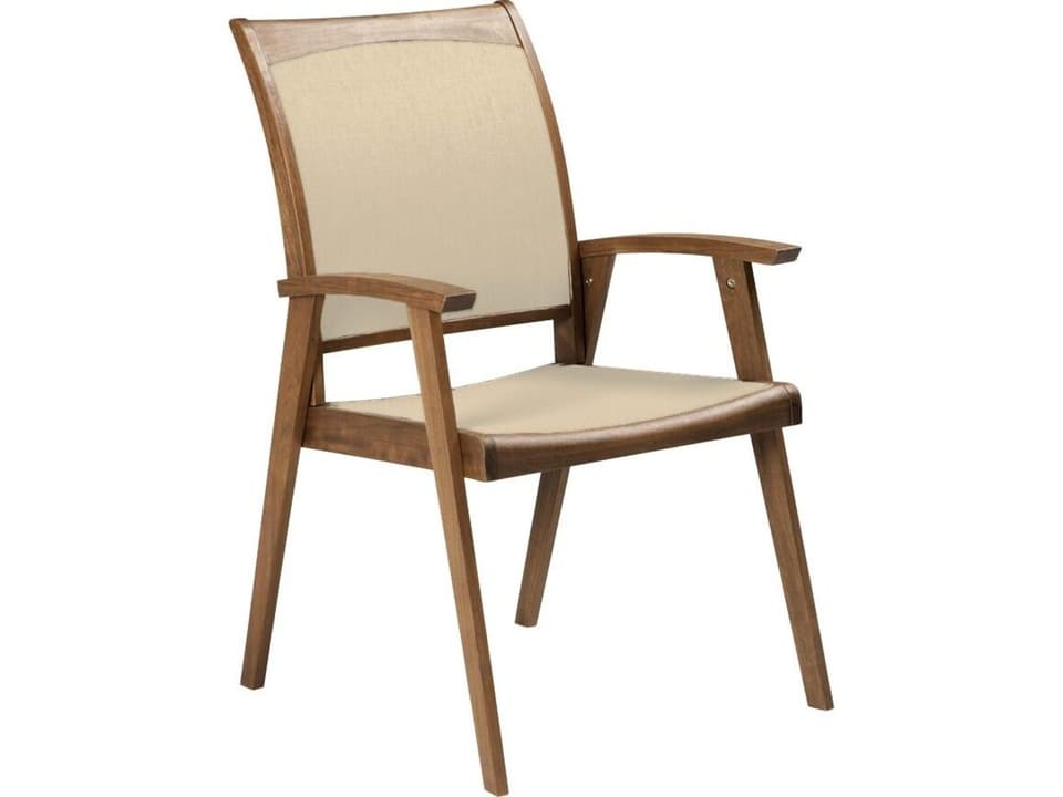 Furniture Topaz IPE Sling Arm Chair/ Beige