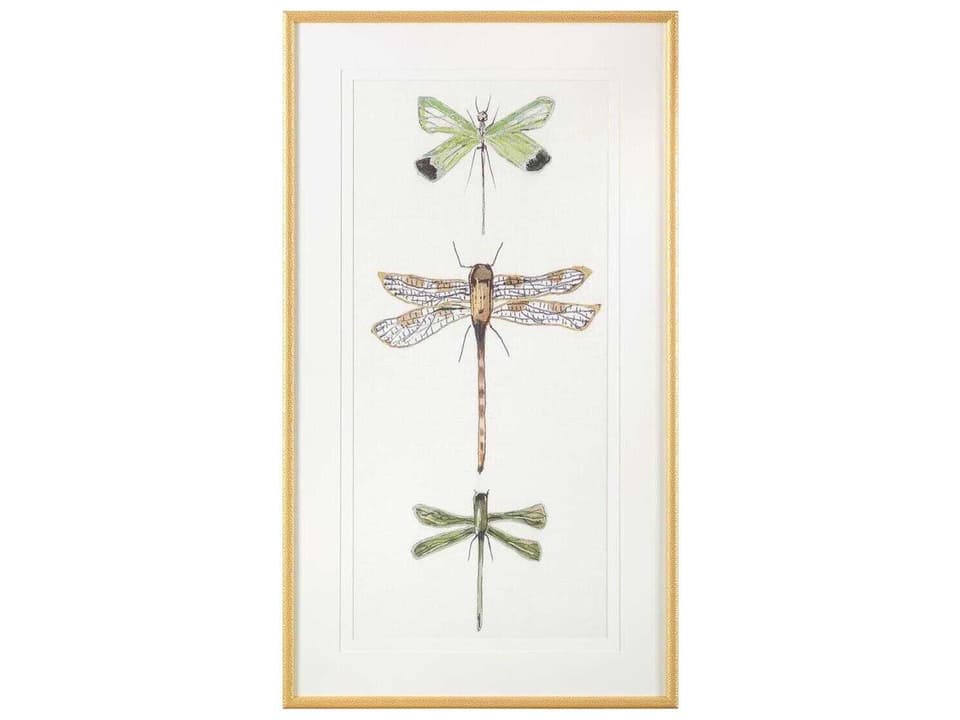 Joy Colangelo's Joyful Dragonflies-I Print / Painting