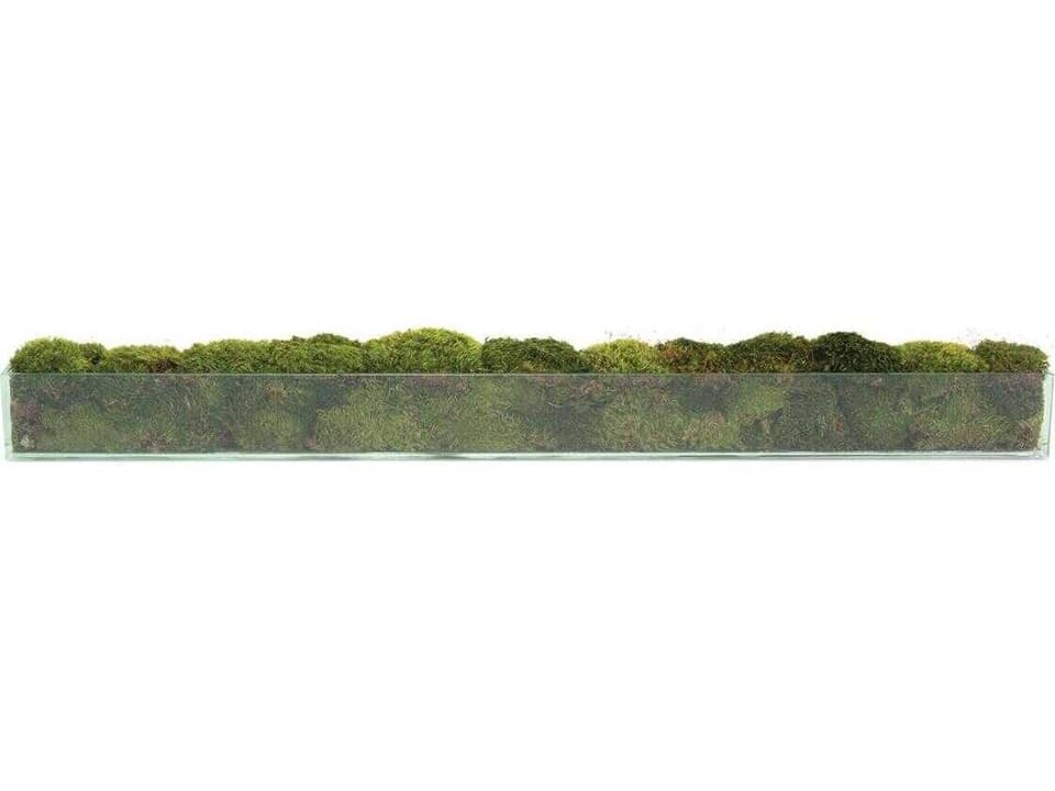 Moss Mounds Botanical Decor with Preserved Mood Moss