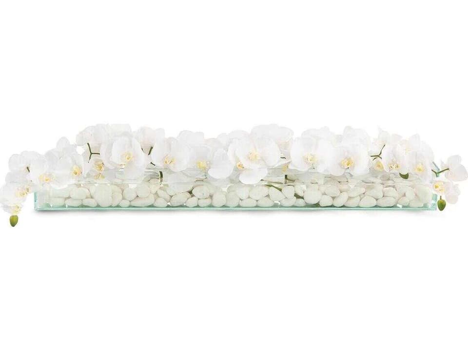 Floating Orchids Botanical Arrangement with White Phalaenopsis