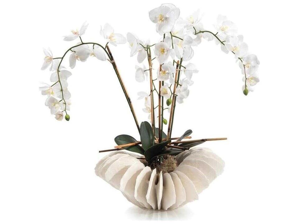 Leah Sea Coral Phalaenopsis Decorative Orchid Arrangement