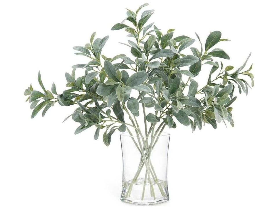 Lambs Ear Decorative Plant in Glass Vase with Faux Water