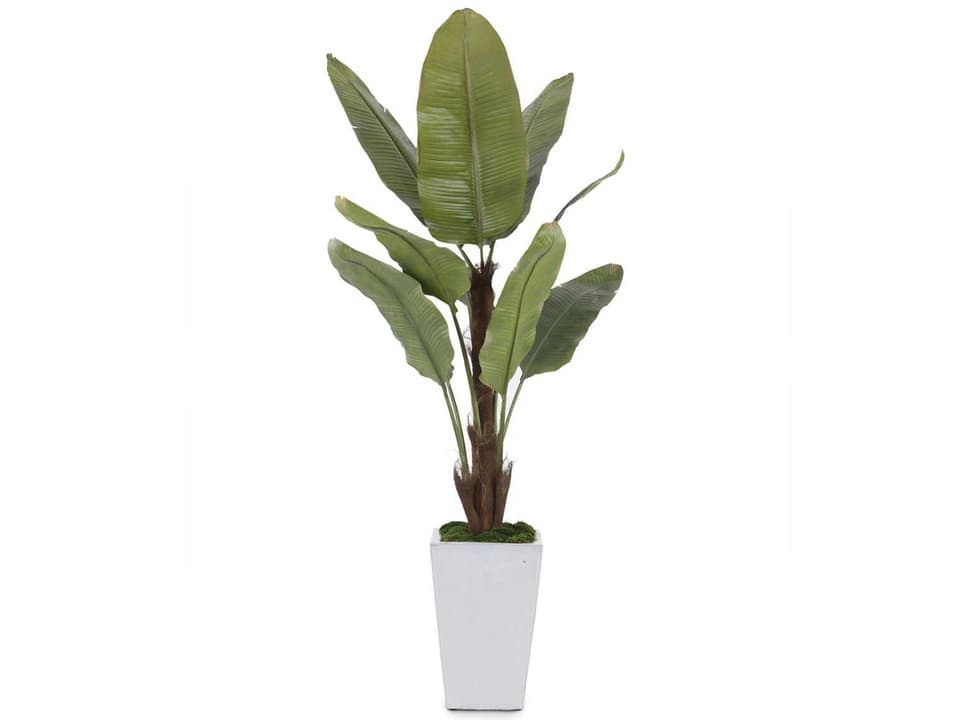 Glacier Decorative Banana Tree with White Pottery Pot