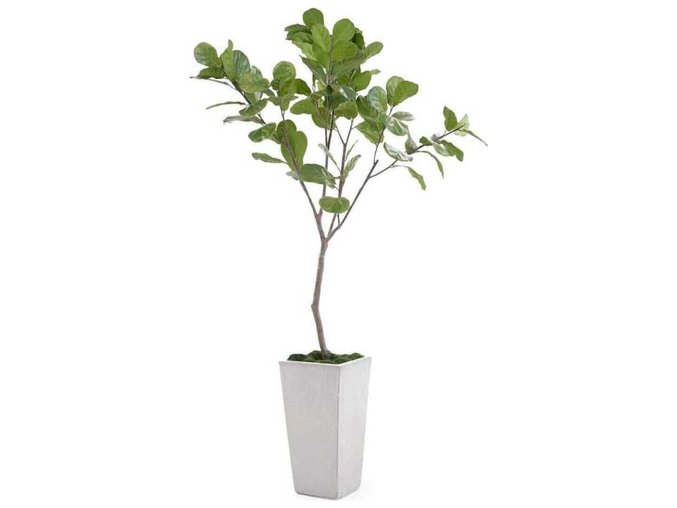 Tarro Fig Tree Natural Touch Fiddle-Leaf Botanical in Grey-White Planter