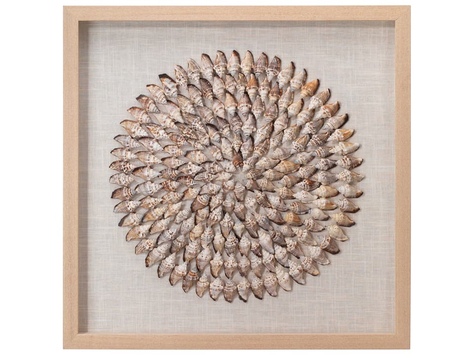 Riviera Square Framed Wall Art with Beige Simnia Shells