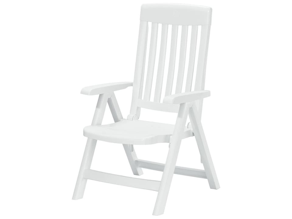 Sieger Resin Multi-Position Outdoor Patio Lounge Chair