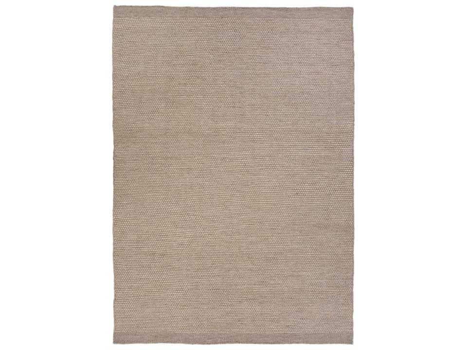 Adonic Mist Hand-Woven Indoor Outdoor Area Rug Earth