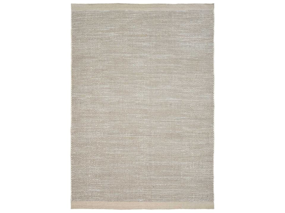 Adonic Mist Hand-Woven Recycled PET Indoor Outdoor Area Rug in Taupe