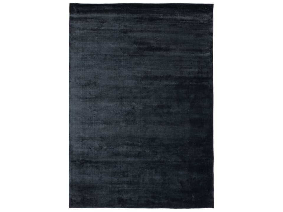 Lucens Hand-Loomed Viscose Rug in Navy