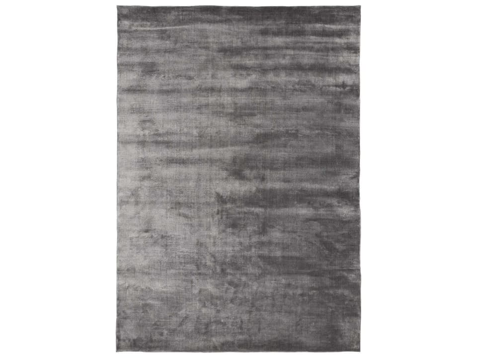 Lucens Handwoven Viscose Area Rug in Steel