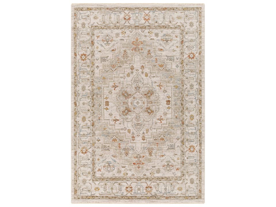 Avant Garde Bordered Traditional Area Rug