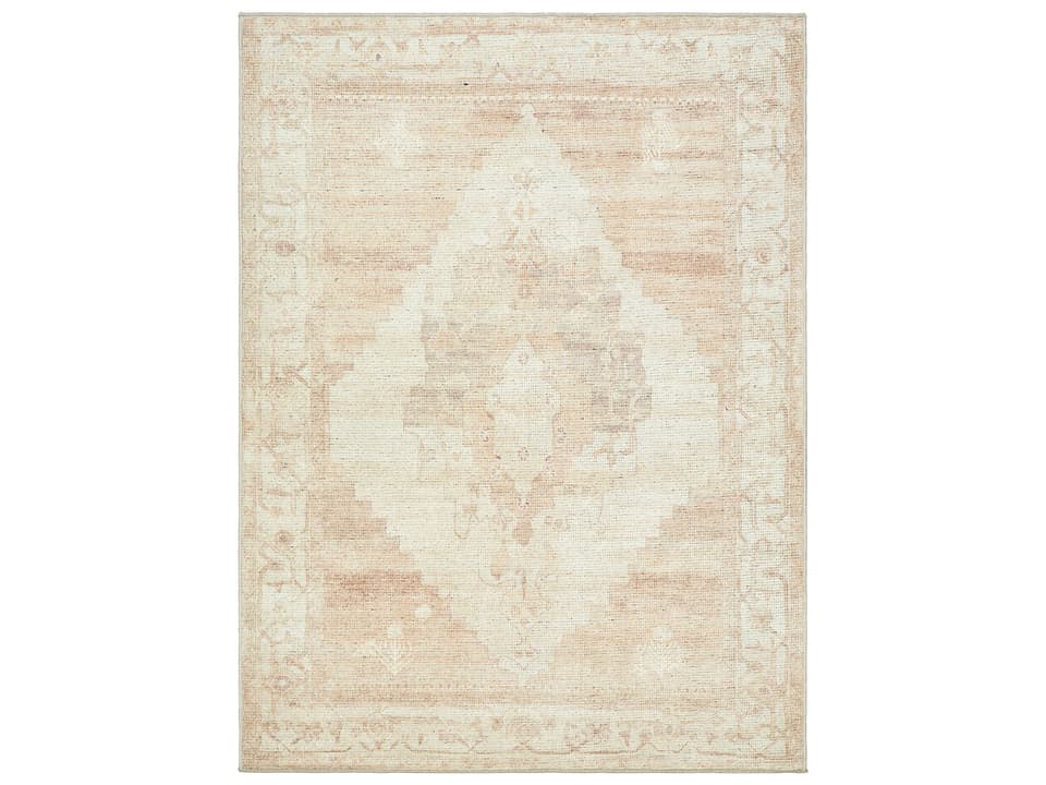Luca Bordered Vintage Area Rug