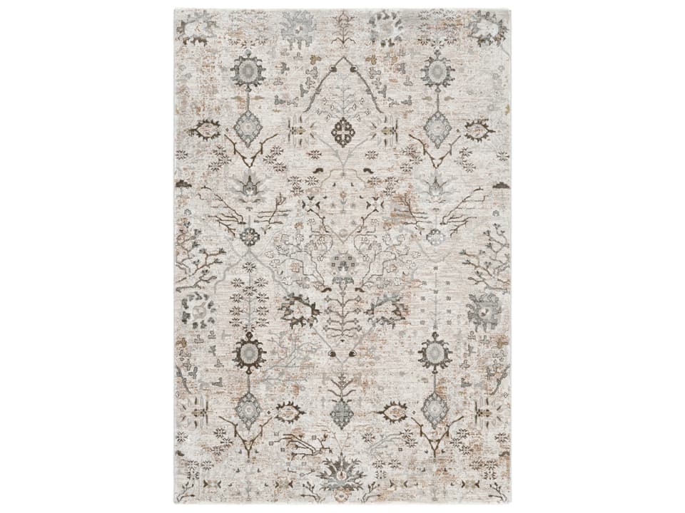 Brunswick Floral Pattern Area Rug in Ivory and Beige