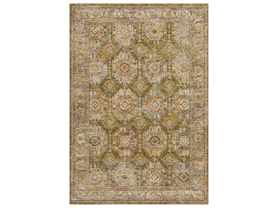 Mona Lisa Bordered Area Rug in Traditional Style