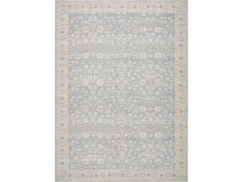 Asha Bordered Area Rug