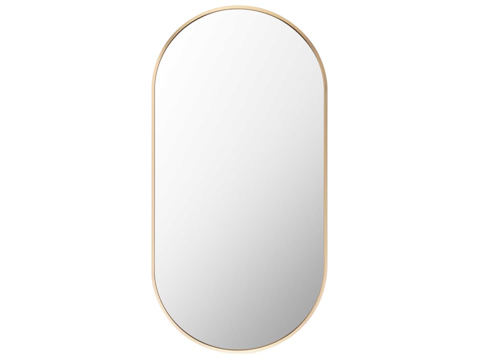 Aranya Modern Oval Accent Wall Mirror in Brushed Gold