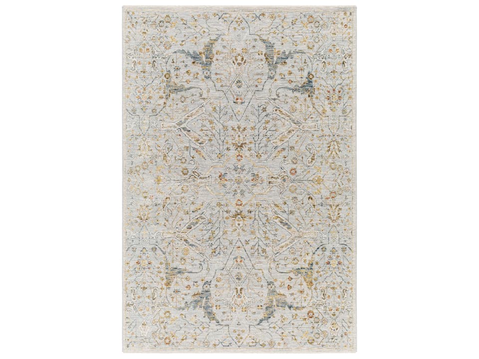 Reina Traditional Machine Woven Area Rug in Multi
