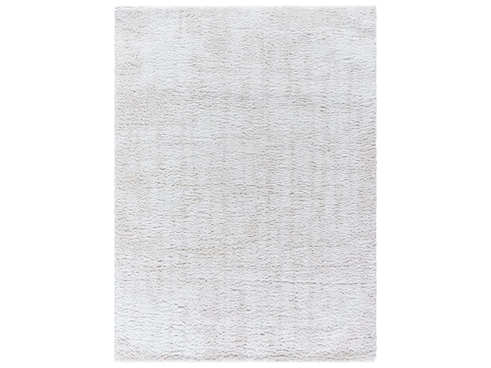 Sacramento Shag Machine Woven Polyester Area Rug