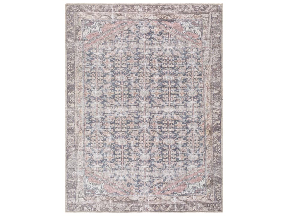 Vinny Bordered Area Rug Machine Washable