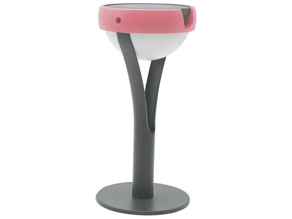 Tish 3-Light Outdoor Path Light in Graphite Aluminum