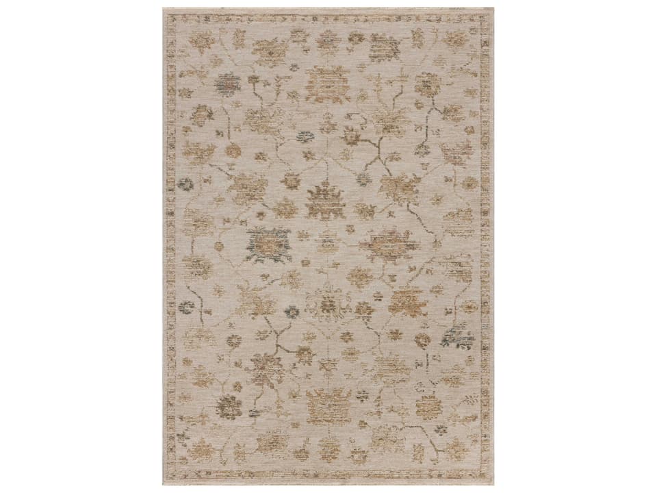 Willa Bordered Area Rug with Traditional Turkish Motifs