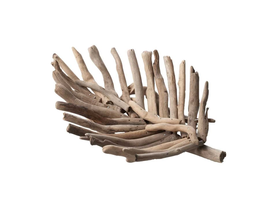 Driftwood