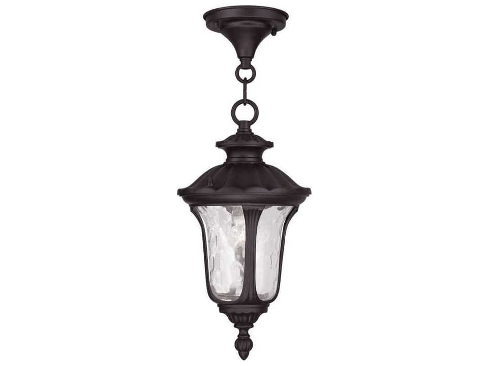 Oxford 1-Light Outdoor Hanging Lantern in Bronze with Clear Water Glass