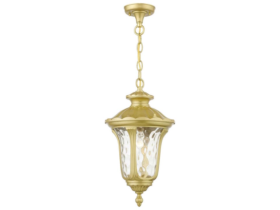 Oxford 1-Light Outdoor Hanging Lantern in Soft Gold