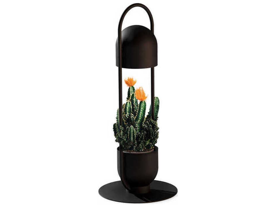 Oxygen Black Table Lamp