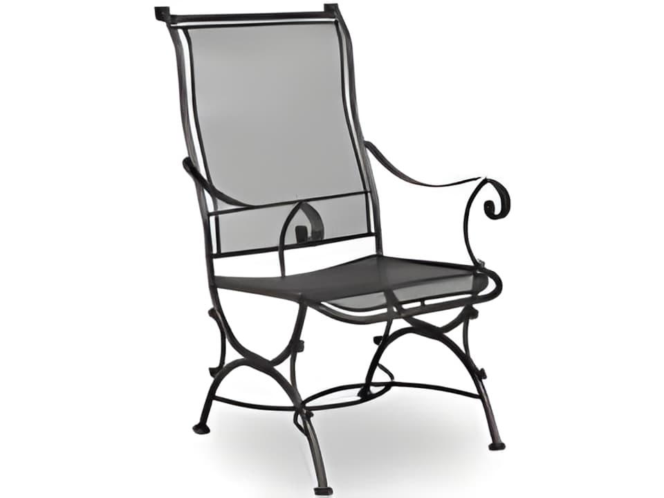 Alexandria Wrought Iron Outdoor Patio Dining Arm Chair