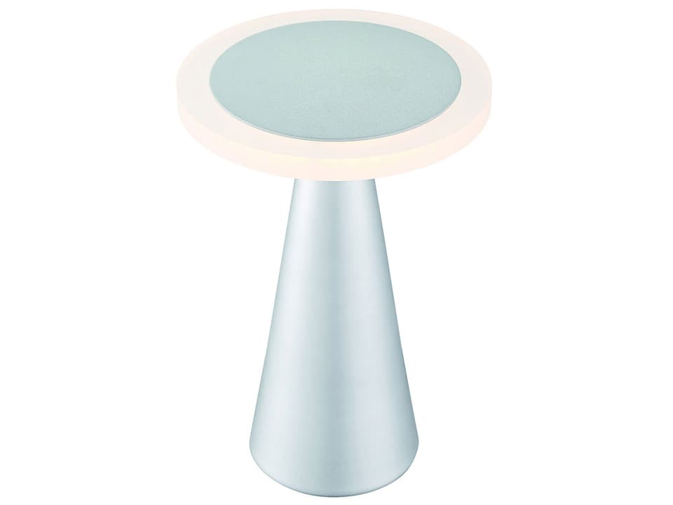 Cute LED Task Table Lamp in Titanium Finish