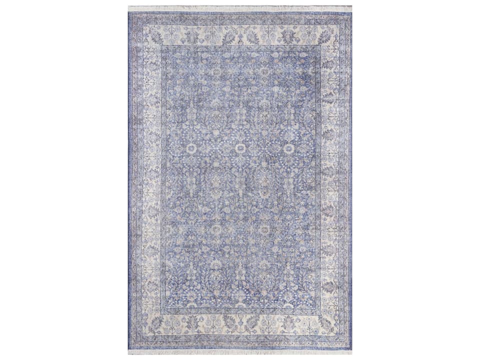 Helena Bordered Traditional Area Rug in Blue