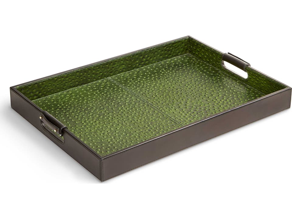 Leather Tray Handle Accent in Ostrich Green and Black with Polished Brass