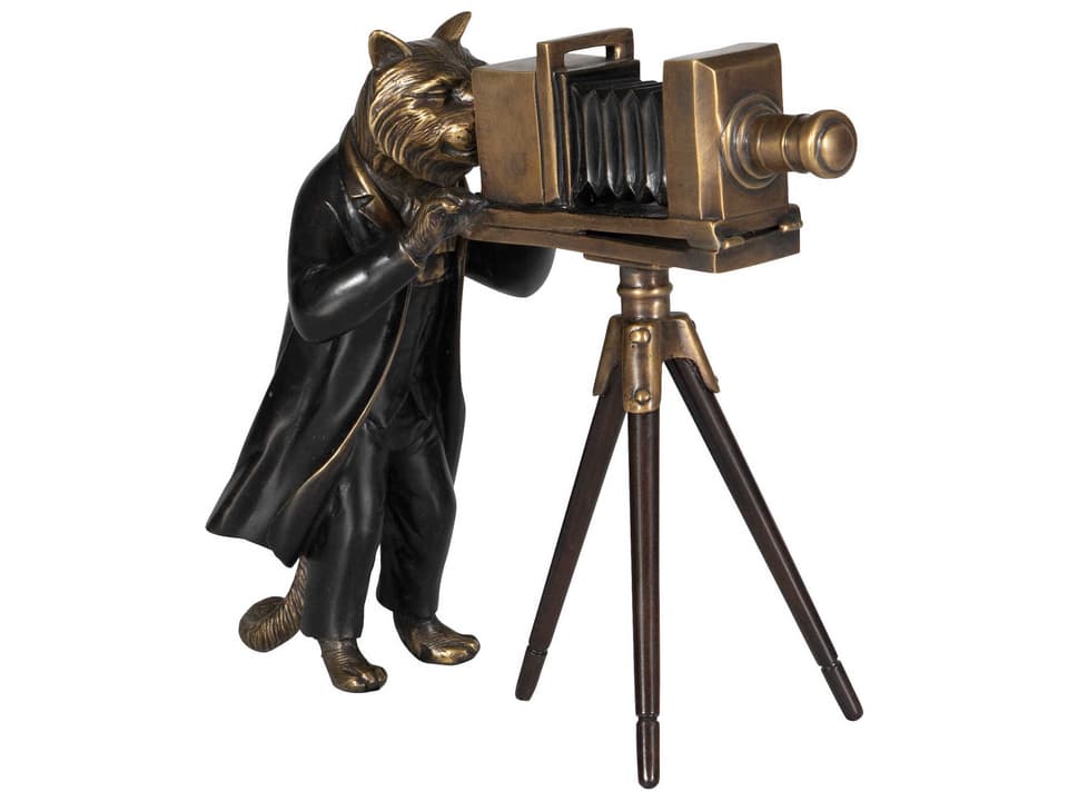 Feline Fotography Brass Sculpture with Vintage Camera