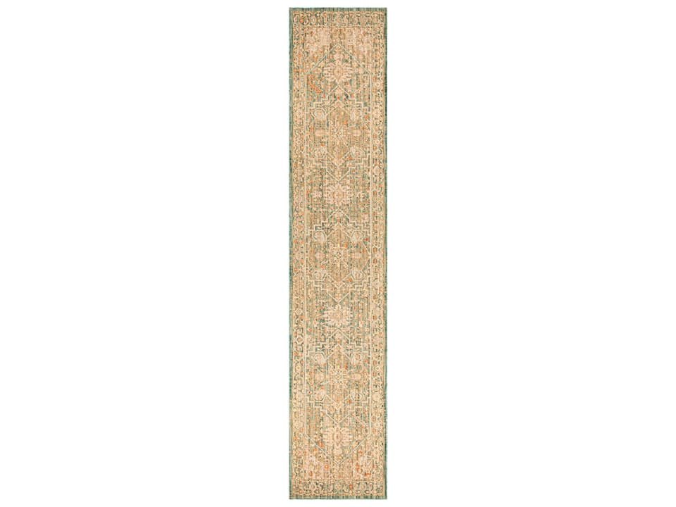 Antique Bloom Bordered Runner Area Rug in Teal with Medallion Design