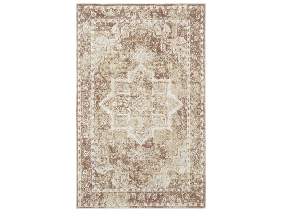 Astra Machine Washable Persian Style Bordered Area Rug