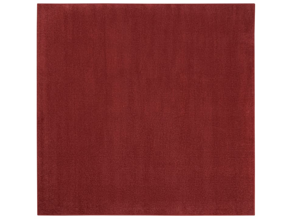 Essentials Indoor Outdoor Area Rug with Low Pile