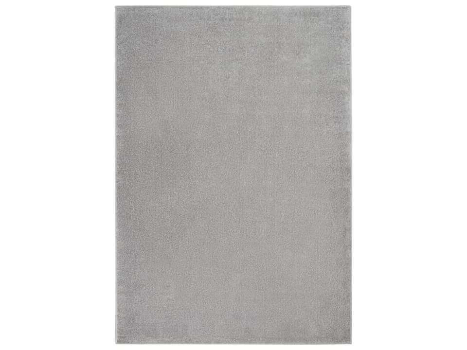Essentials Contemporary Indoor Outdoor Area Rug in Silver Grey Polypropylene