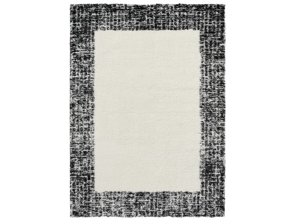 Pacific Shag Bordered Area Rug in Ivory Black