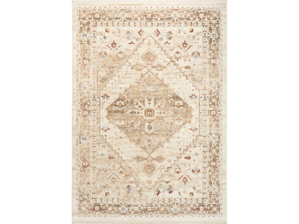 Pardis Bordered Area Rug with Medallion Pattern
